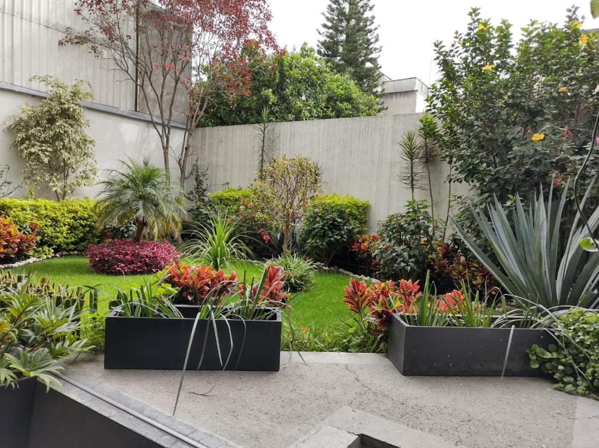 شقة Departamento Entero En El Corazon De La Ciudad مدينة مكسيكو المظهر الخارجي الصورة